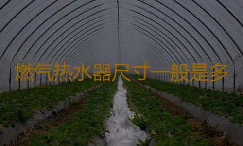 燃气热水器尺寸一般是多大