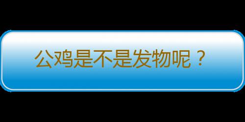 公鸡是不是发物呢？