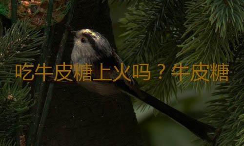 吃牛皮糖上火吗？牛皮糖的营养价值有哪些