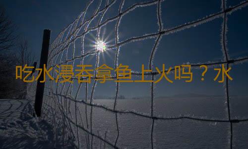 吃水浸吞拿鱼上火吗？水浸吞拿鱼的营养价值有哪些