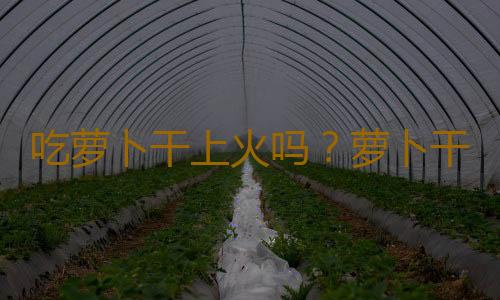 吃萝卜干上火吗？萝卜干的营养价值有哪些