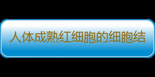 人体成熟红细胞的细胞结构是什么