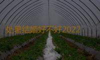 处暑结婚好不好2022