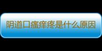 阴道口瘙痒疼是什么原因呢？