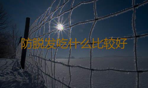 防脱发吃什么比较好