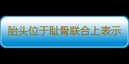 胎头位于耻骨联合上表示什么