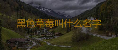 黑色草莓叫什么名字